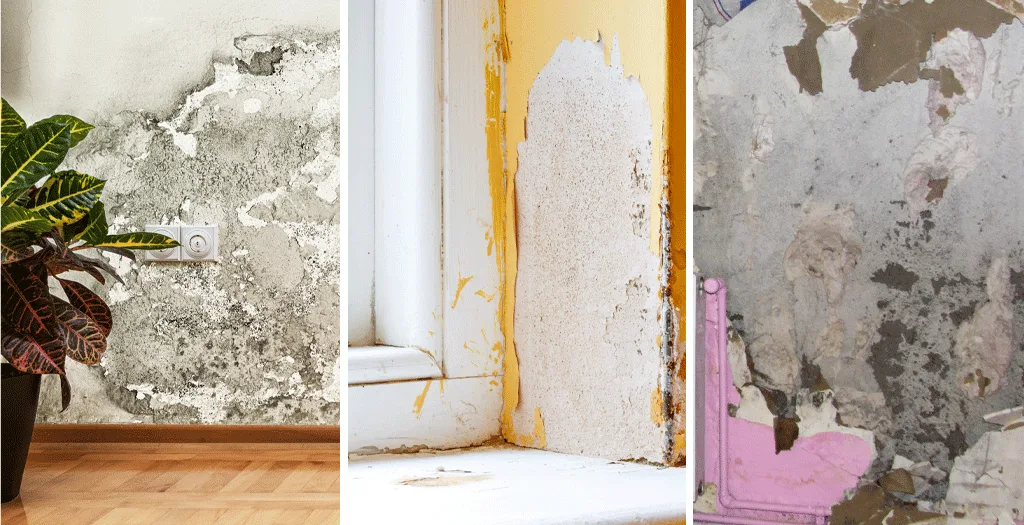 Paredes interiores con humedades, desconchones y deterioro grave que pueden provocar inhabitabilidad en una vivienda.